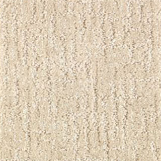 So Soft Sand Dollar Carpet