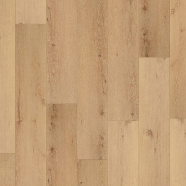 Coretec Pro Plus Enhyanced 9" Cairo Oak