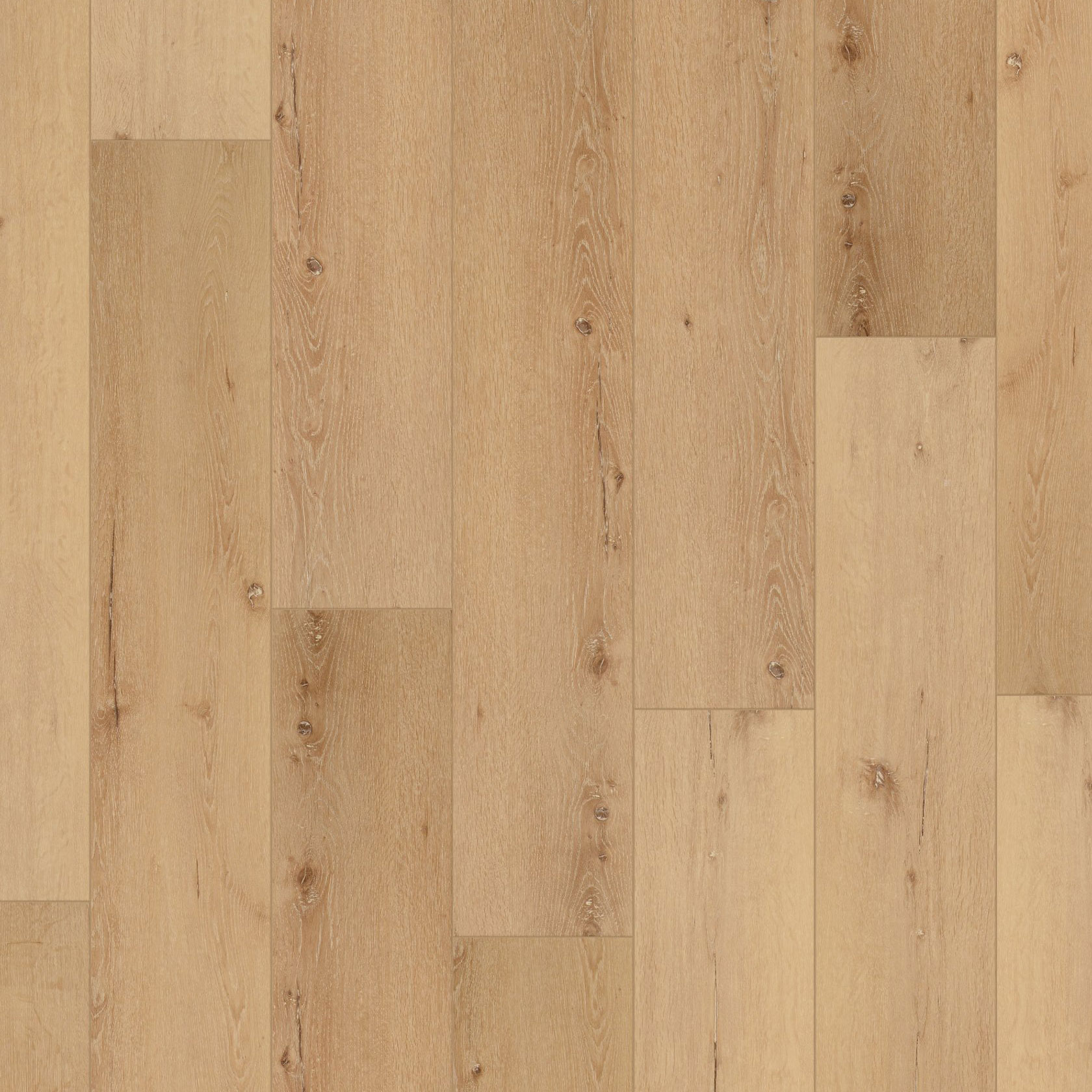 Coretec Pro Plus Enhyanced 9" Cairo Oak