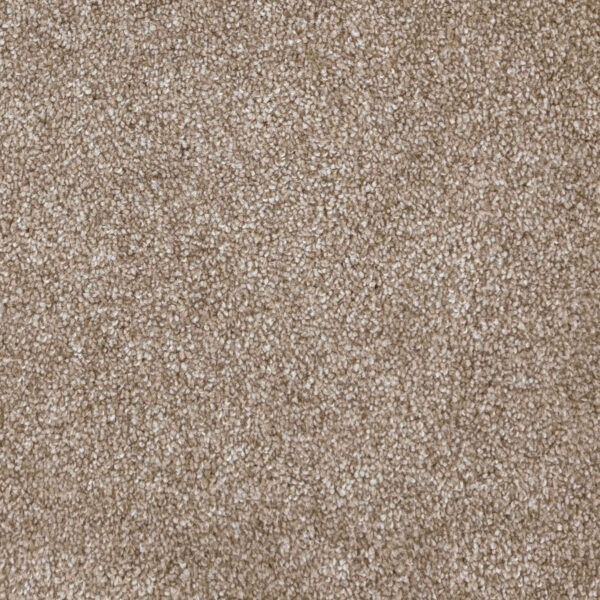 Carpet Action Packed Sawgrass