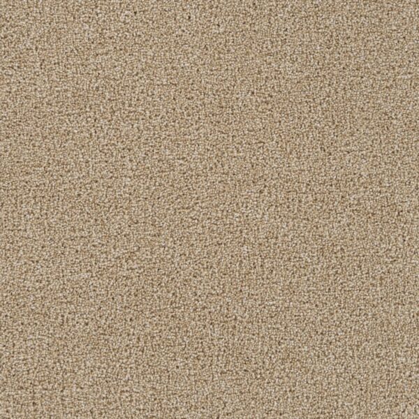 Group Energy Cashmere Carpet