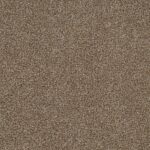 Group Energy Warm Stone Carpet