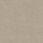 Overjoyed Practical Carpet