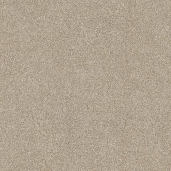 Overjoyed Practical Carpet