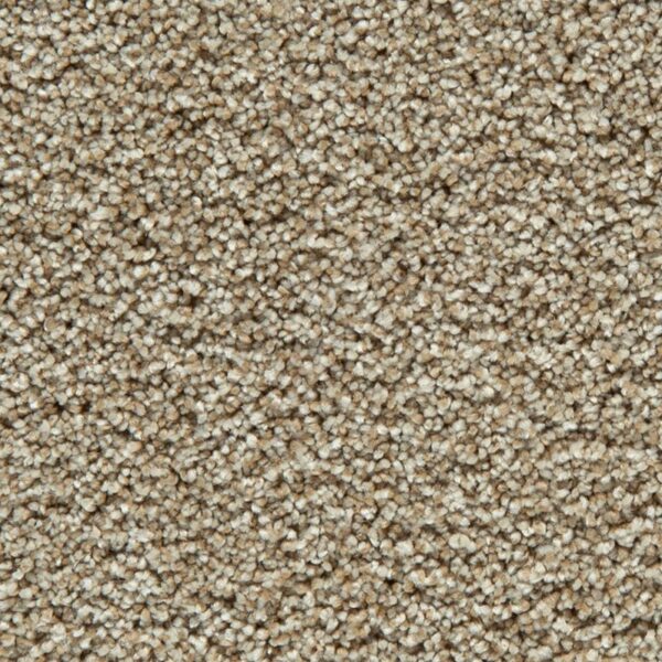 Carpet Just Perfect Golden Hour