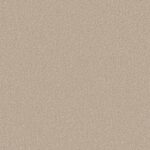 Carpet Soft Infatuation Dune