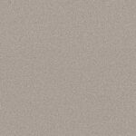 Carpet Soft Infatuation Great Greige