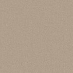 Carpet Soft Infatuation Latte