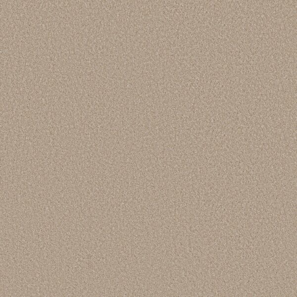 Carpet Soft Infatuation Latte