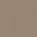 Carpet Soft Infatuation Raw Wood