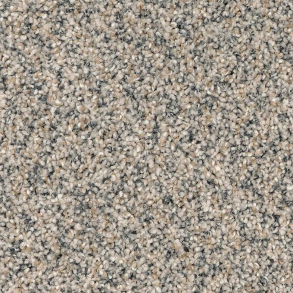 Carpet Softly Glamorous Carnival