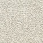Carpet Softly Gorgeous Buffed