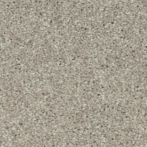 Carpet Softly Gorgeous Outerbanks