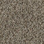 Carpet Surprising Beauty Champagne