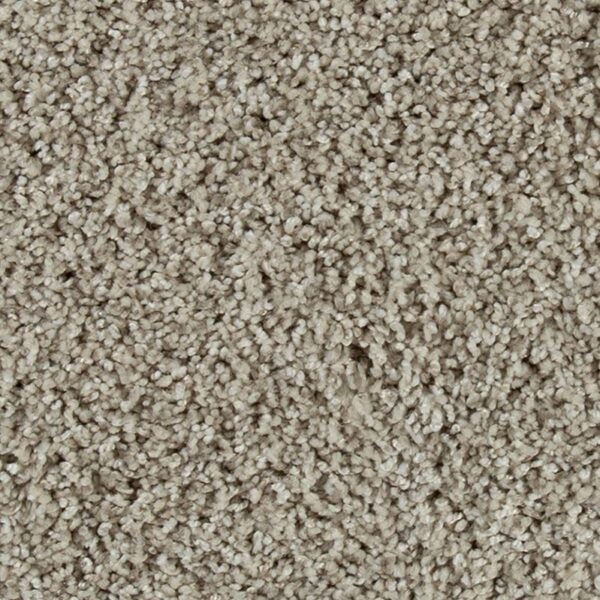 Carpet Surprising Beauty Pearl
