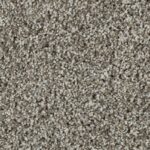 Carpet Surprising Beauty Snow Path