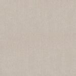 All Times Minimalist Carpet