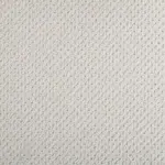 Private Reserve Silver Fox Carpet