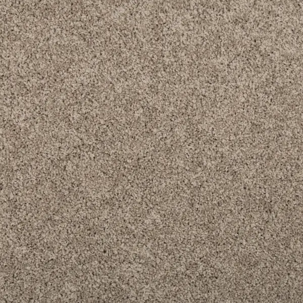 Sonoma Style Dock Carpet