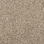 Sonoma Style Elk Beige Carpet