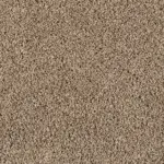 Sonoma Style Flax Seed Carpet