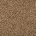 Sonoma Style Fowler Carpet