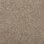 Sonoma Style Havana Carpet