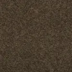 Sonoma Style Husk Carpet