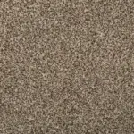Sonoma Style Nomad Carpet