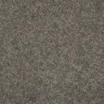 Sonoma Style Pewter Carpet