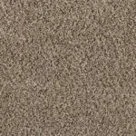 Sonoma Style Shimmer Ash Carpet