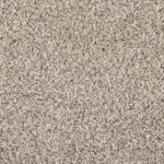 Sonoma Style Silver Dollar Carpet