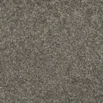 Sonoma Style Steelbeam Carpet