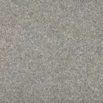 Sonoma Style Tarpley Carpet
