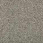 Sonoma Style Winter Ash Carpet