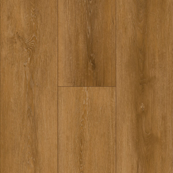 Dynamic Design Paso4 LVP