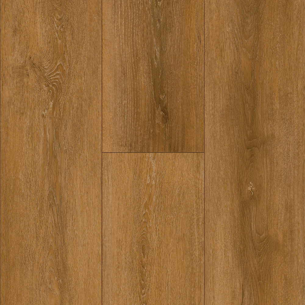 Dynamic Design Paso4 LVP