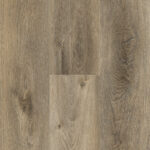 Dynamic Influence Alte4 LVP